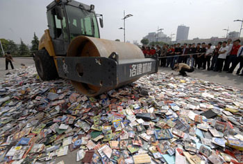 Those dogs managed to find plenty of DVDs...