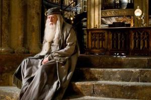 Influenced by Korean dramas, Dumbledore didn't show his feelings for McGonagall.