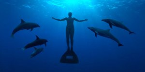 the-cove-movie-073009-xlg