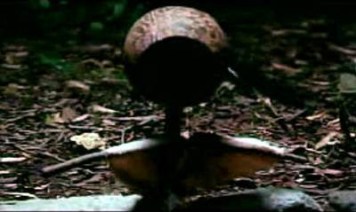 E.T.'s little brother.