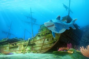 One man's trash is another fish's treasure.