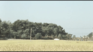 vlcsnap-2015-07-05-23h24m46s66