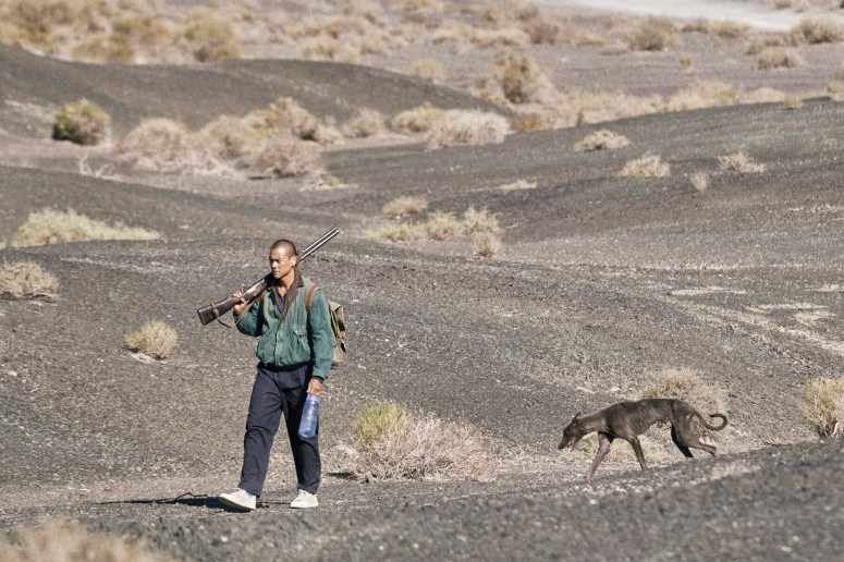 Black Dog by Guan Hu